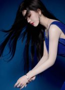 对中国企业的制裁